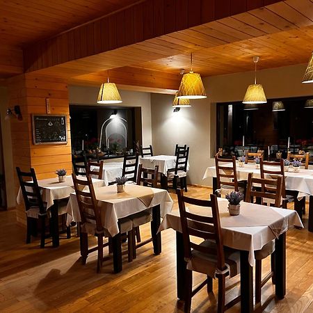 Bucovina Lodge Pension Vama  Exterior photo